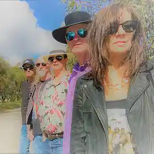 Picture for song 'Walking Cruisy' by artist 'MOSS (AUS)'