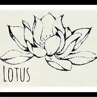 Picture for song 'Mac Miller Type Beat Chop Lotus - Side Notez' by artist 'Side Notez Productions'