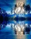 Picture for song 'above the blue' by artist 'Silas G'