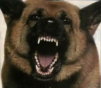 Picture for song 'napaakag iro by Askalero' by artist 'An2neX Productionz'