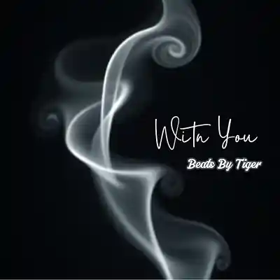 Picture for song 'With You' by artist 'Beats By Tiger'