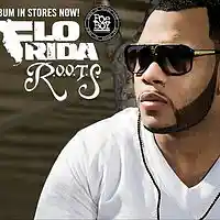 Picture for song 'Flo Rida (Party Right)' by artist 'Beat Spillers'
