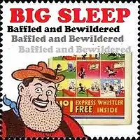Picture for song 'Baffled and Bewildered' by artist 'BIG SLEEP'