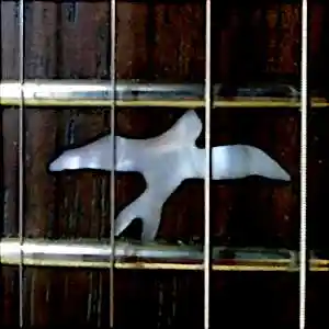 Picture for song 'Antares Moon' by artist 'Caged Bird Music'