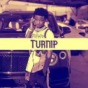 Picture for song 'Turnip (Mustard x Roddy Ricch Type) - Devezin.com' by artist 'Devezin'