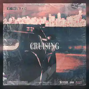 Picture for song 'Cruising' by artist 'dreamlifebeats'