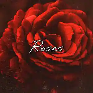 Picture for song 'Roses' by artist 'Frankenstein Beats'