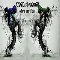 Picture for song ''Slow Motion'' by artist 'Jethro Beats'