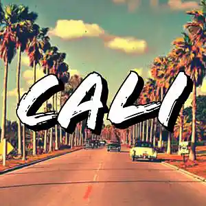 Picture for song 'CALI - WEST COAST TYPE BEAT' by artist 'PINK MOLLY BEATZ'