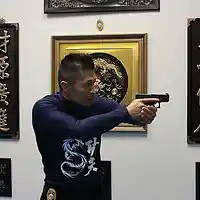 Picture for song 'The Realist Martial Artist' by artist 'Sifu Freddie Lee'