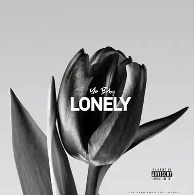 Picture for song 'LONELY' by artist 'Yo Bxby'