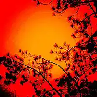 Picture for song 'the wipe-out' by artist 'The Headless Dancers'