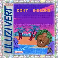 Picture for song 'Dont Belong' by artist 'The King Beats'