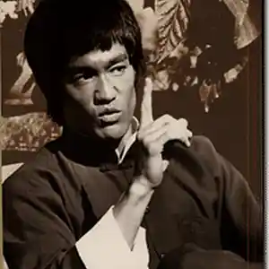 Picture for song 'Bruce Lee toq' by artist 'adrianof'