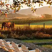 Picture for song 'Country Getaway 76 bpm (prod by Axis Beats)' by artist 'Axis Beats (US)'