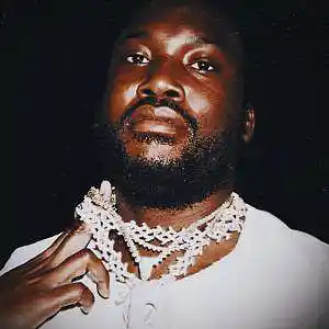Picture for song 'Spotlight / Meek Mill Type Beat (2 For 1)' by artist 'Buckroll'