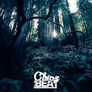 Picture for song '"Forest"' by artist 'Chipz On The Beat'