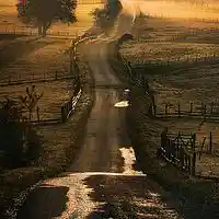 Picture for song 'Home' by artist 'D B Hankinster'