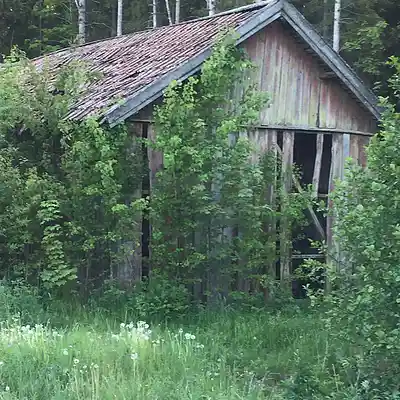Picture for song 'Wooden Shack Blues' by artist 'Fata Morgana Experience'