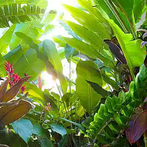 Picture for song 'Chill - Type Beat' by artist 'La Croyant'