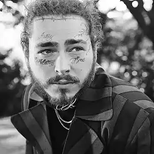 Picture for song 'LONG GONE *Post Malone*' by artist 'XXXMAKEITBOUNCE'