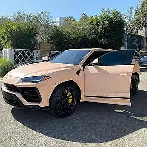 Picture for song 'New Whip' by artist '8lurdy'