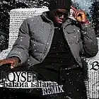 Picture for song 'Bafana Bafana Remix' by artist 'Boyser'