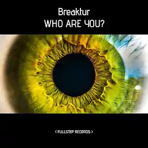 Picture for song 'Who Are You?' by artist 'Breaktur'