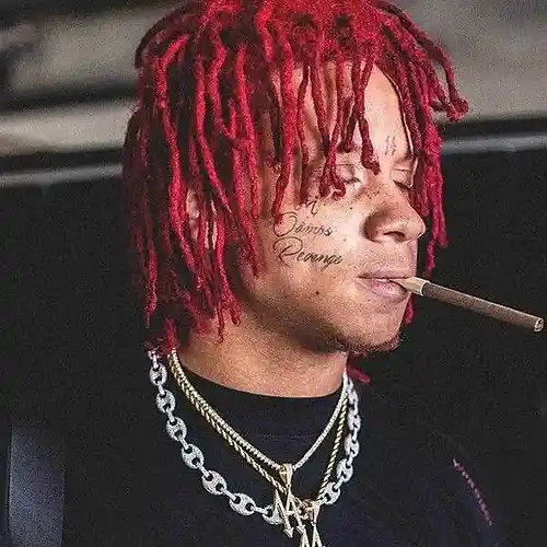 Artist picture
