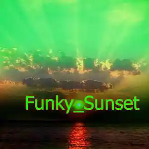 Picture for song 'Funky_Sunset 11' by artist 'Fusion Juice'