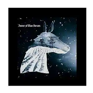 Picture for song 'Tower of Blue Horses' by artist 'john knox'