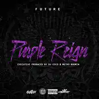 Picture for song 'Purple Reign' by artist 'OHZONEBEATS'