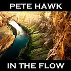 Picture for song 'In the Flow' by artist 'Pete Hawk'