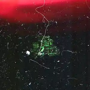 Picture for song 'Supreme' by artist 'The Wave Beats'