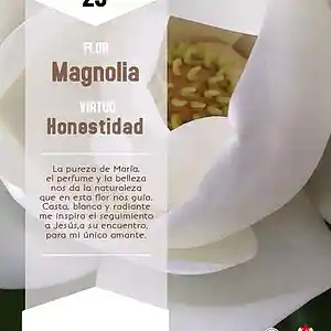 Picture for song 'Dia 29-Flor Magnolia' by artist 'Producciones Vandor'