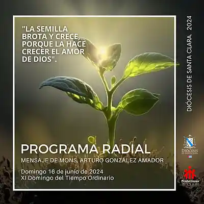 Picture for song 'XI Domingo del Tiempo Ordinario, 16 de junio' by artist 'Producciones Vandor'