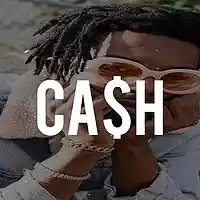 Picture for song '*Ca$h* Playboi Carti Type Beat (FREE DL)' by artist 'Sean Bentley'