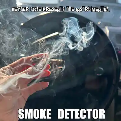 Picture for song 'Smoke Detector' by artist 'TheRealKeyserSoze'