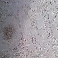 Picture for song '*** NEW *** Your Chance' by artist 'DziaraONK'