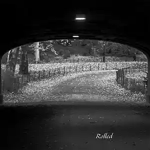 Picture for song 'Rolled' by artist 'FiL.wav'