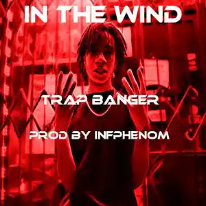 Picture for song 'In The Wind' by artist 'InfPhenom'