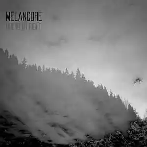 Picture for song 'wrong or right' by artist 'MELANCORE'