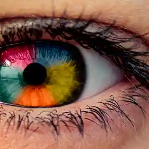 Picture for song 'Prod. Jack Packman - Focusing' by artist 'Jack Packman'