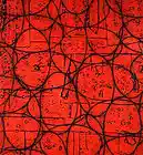 Picture for song 'metanoia' by artist 'Japanese Large'