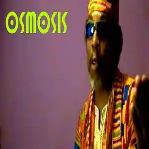 Picture for song 'Everythang You Do Is Funky -instrumental version' by artist 'Lawrence Wise And The Cosmic Funk Orchestra OSMOS'