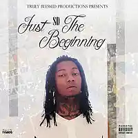 Picture for song '40s & Flats Prod By Mally Macc X Lil Banks' by artist 'Lil Banks Productions'