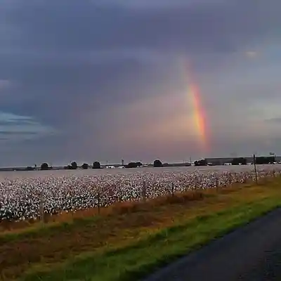 Picture for song 'Where Rainbows Never Die (Steel Drivers cover)' by artist 'mark alan skinner'