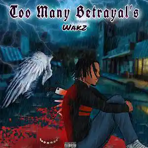 Picture for song 'Wakz - Too Many Betrayal's' by artist 'Wakz'