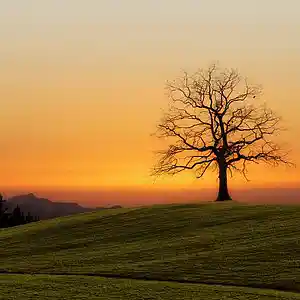 Picture for song 'Front(Prod.whoDeany)' by artist 'whoDeanyBeatz'