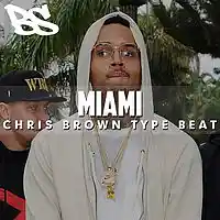 Picture for song ' Chris Brown Type Beat - Miami Prod. by Breese' by artist 'Breese On The Beat'